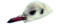 Seagulls